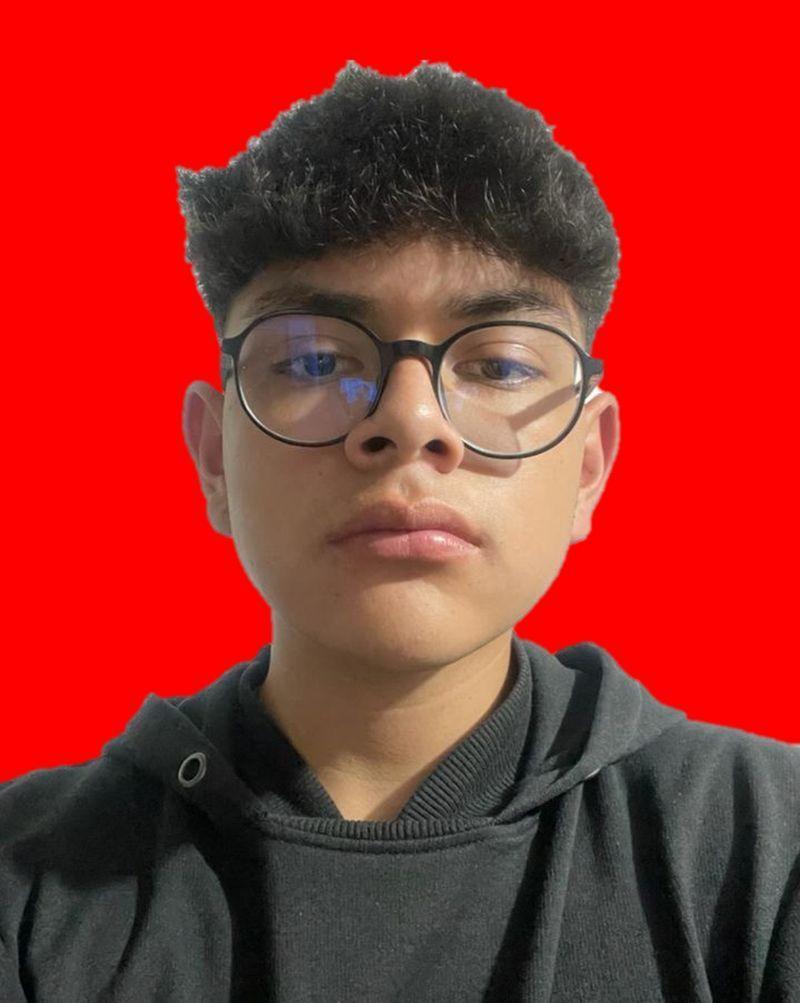 User Image