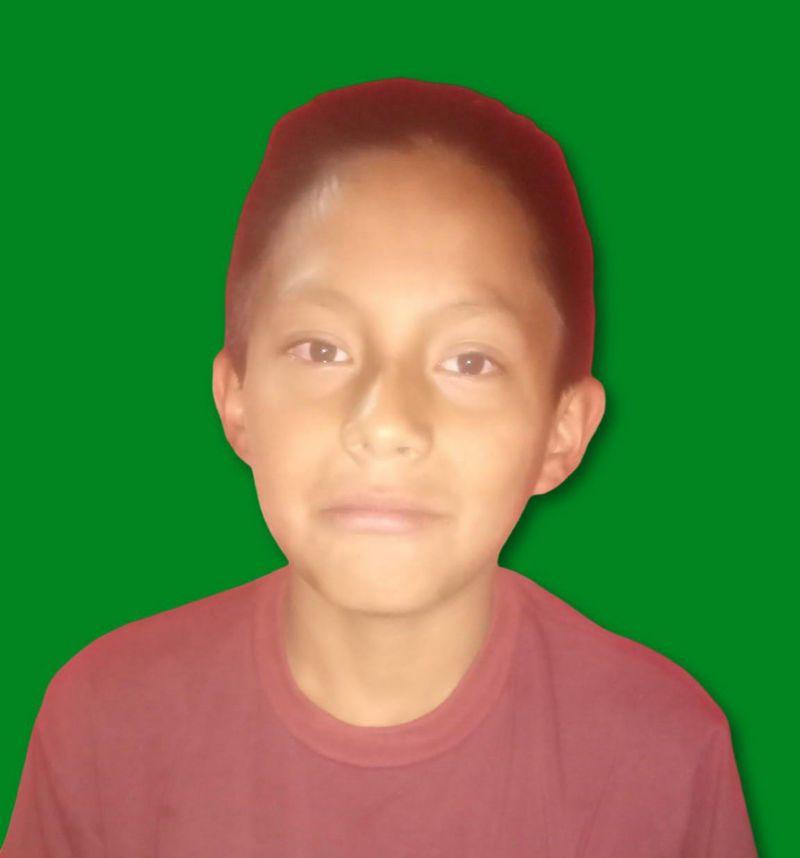 User Image